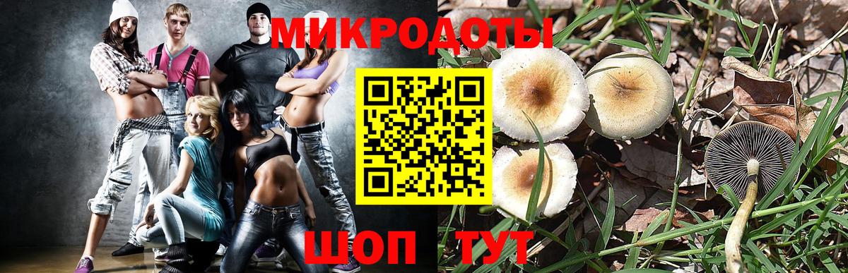 купить наркотик  Псилоцибиновые грибы Psilocybine cubensis  Острогожск  Вход с VPN  Псилоцибиновые грибы прущие грибы 