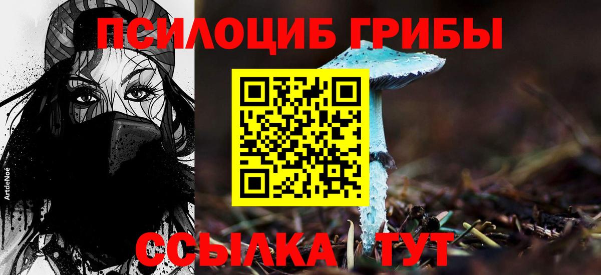 Галлюциногенные грибы мухоморы Острогожск