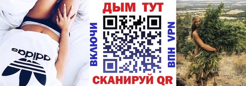 Конопля план  купить   Острогожск 